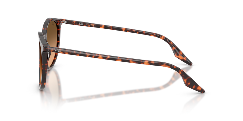 Ray-Ban RB2204 - 14293B
