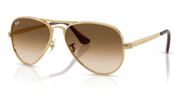 Ray Ban Aviator Max RB3925 - 001/51