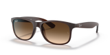 Ray Ban Andy RB4202 - 607313