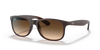 Ray Ban Andy RB4202 - 607313