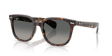 Ray-Ban RB2235 - 902/71