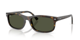 Ray-Ban RB2224 - 710/31