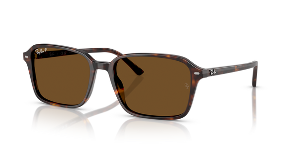 Ray Ban RB2231 - 902/57