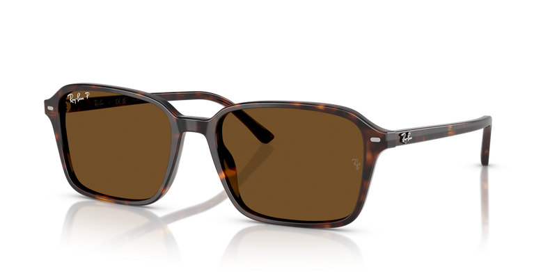 Ray Ban RB2231 - 902/57