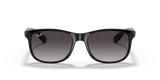 Ray Ban Andy RB4202 - 601/8G