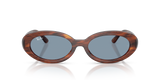 Ray-Ban RB2223 - 954/56