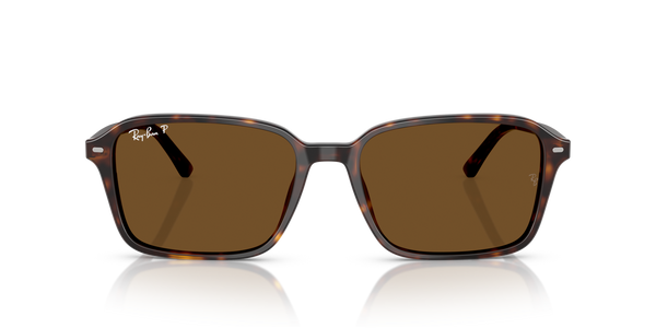 Ray Ban RB2231 - 902/57