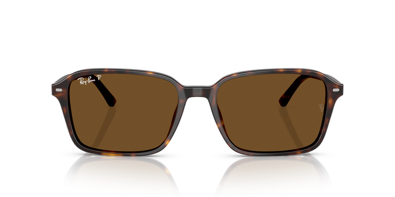 Ray Ban RB2231 - 902/57