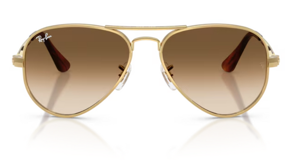 Ray Ban Aviator Max RB3925 - 001/51