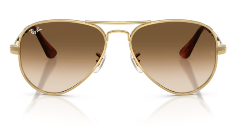 Ray Ban Aviator Max RB3925 - 001/51