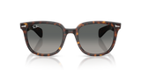 Ray-Ban RB2235 - 902/71