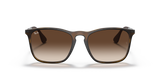 Ray-Ban Chris RB4187 - 856/13