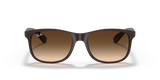 Ray Ban Andy RB4202 - 607313