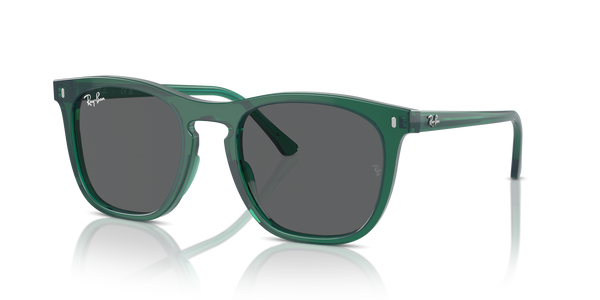 Ray-Ban RB2210 - 6615B1