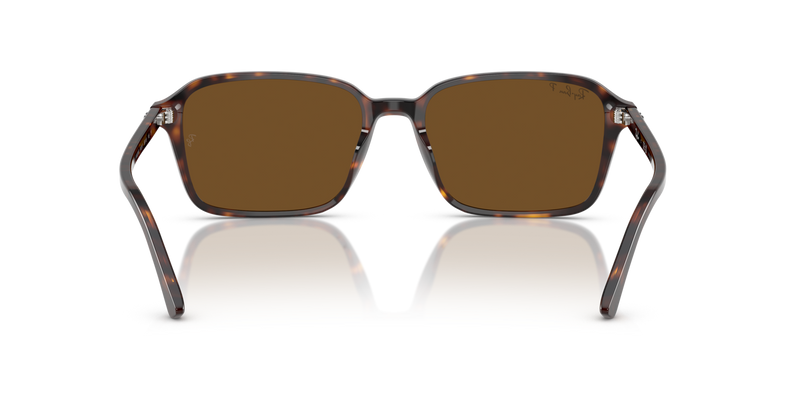 Ray Ban RB2231 - 902/57