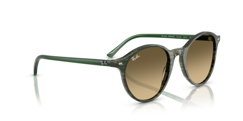 Ray-Ban Bernard RB2230 - 14210A