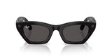 Ray-Ban x Meta Wayfarer Gen 3 RW4015 - 60187