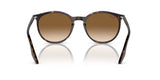 Ray-Ban RB2204 - 902/51