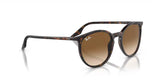 Ray-Ban RB2204 - 902/51