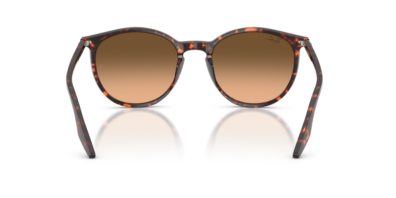 Ray-Ban RB2204 - 14293B