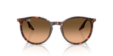 Ray-Ban RB2204 - 14293B
