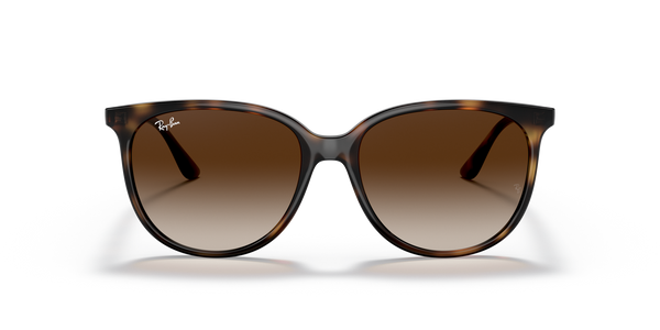 Ray-Ban RB4378 - 710/13