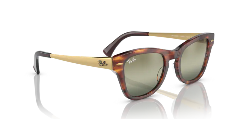 Ray-Ban RB0707SM 954/G4