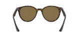 Ray-Ban RB4305 - 710/73